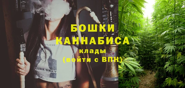 соль ск Надым
