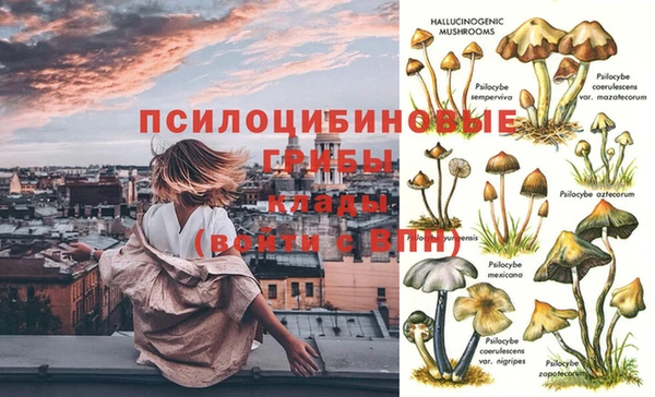 соль ск Надым